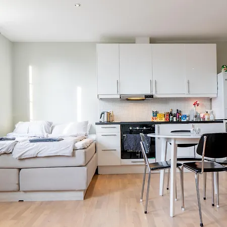 Bright And Modern On A Quiet Street Oslo